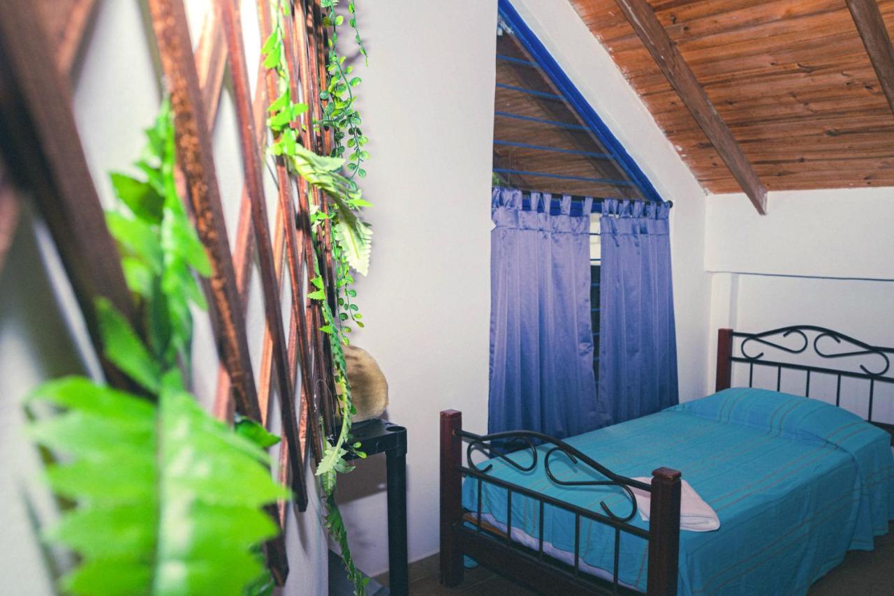 Ecovilla 칼리 외부 사진